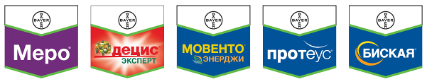 Защита
