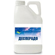 Подпись