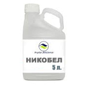 Подпись