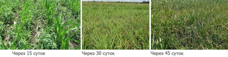 Контроль без обработки