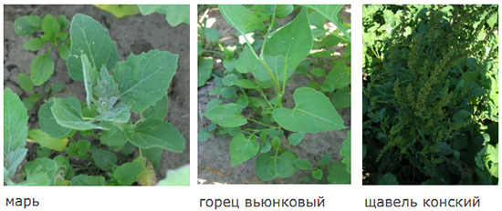 Контроль без обработки