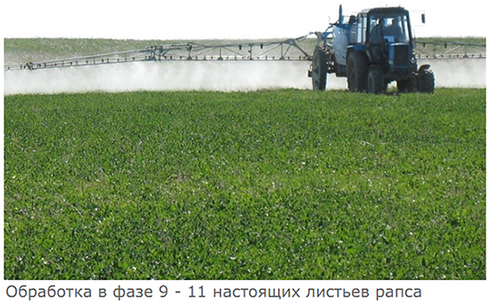 Проведение опрыскивания