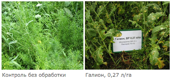 Результаты применения