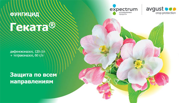Фунгицид Геката