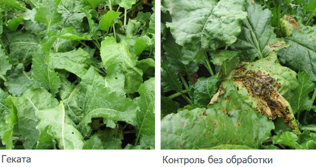 Результаты применения