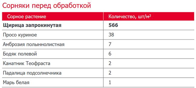 Сорняки перед обработкой