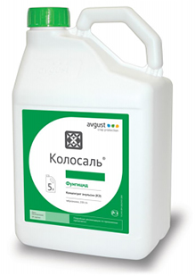 Колосаль