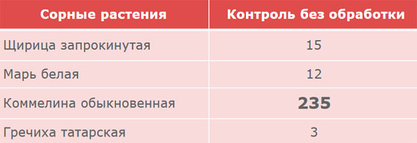 Сорняки перед обработкой