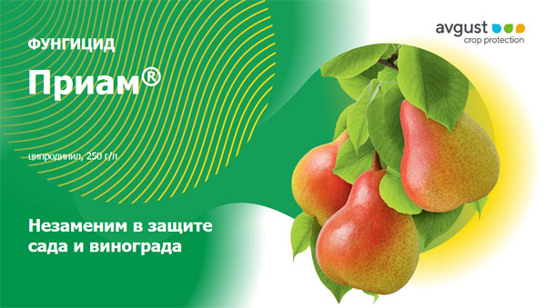 Фунгицид Приам