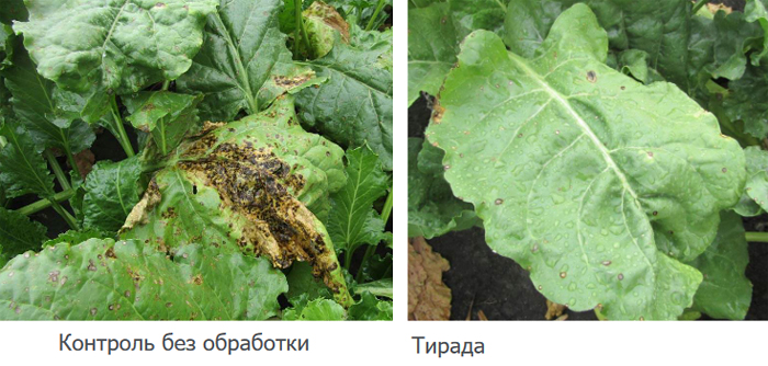Результаты применения