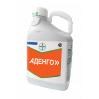 Подпись