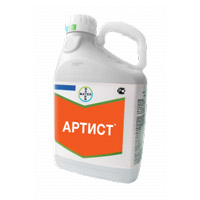 Подпись