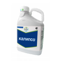 Подпись