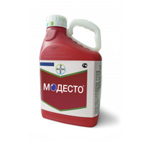 Подпись