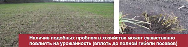 Влияние на урожай