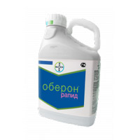 Подпись