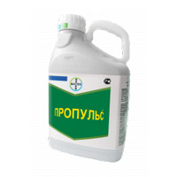 Подпись
