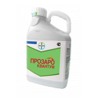 Подпись