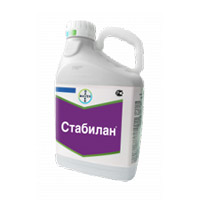 Подпись
