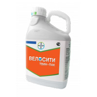Подпись