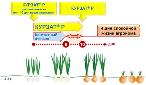 Пролонгированное действие