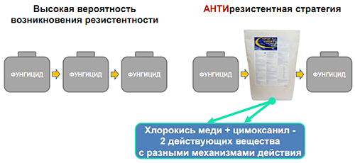 Стратегия