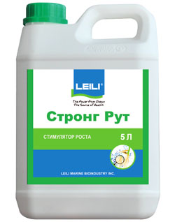 Стронг Рут