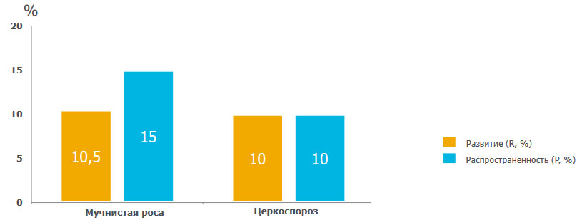 Степень поражения растений до обработки