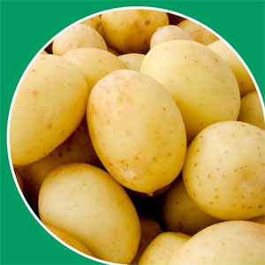 Картофель