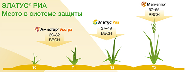 Место в системе защиты