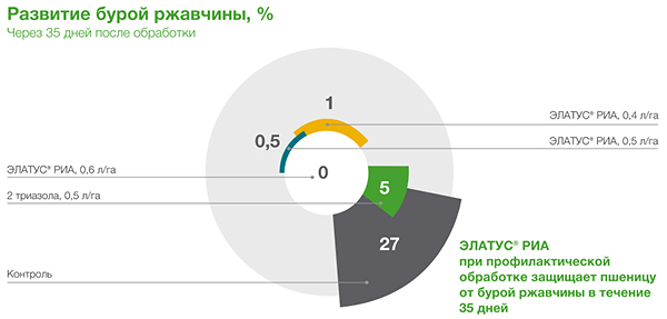 Развитие бурой ржавчины