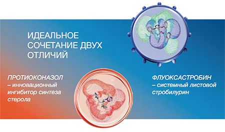 Комбинация двух новых молекул