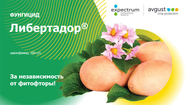 Фунгицид Либертадор