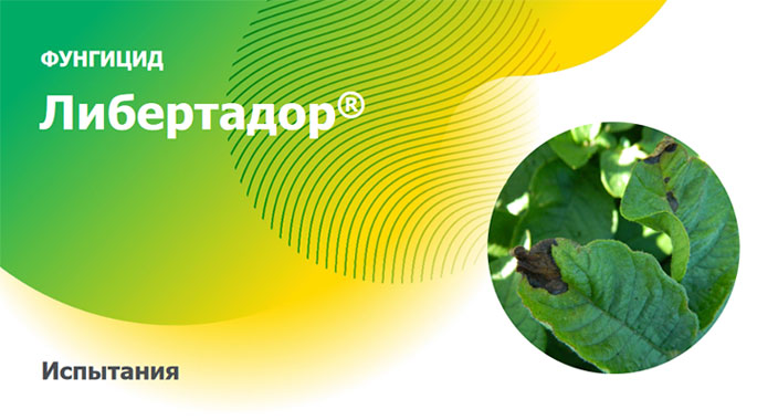Испытания