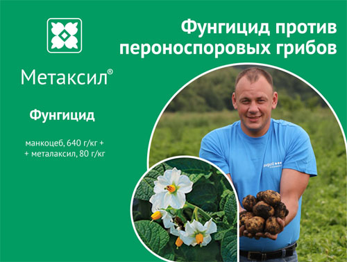 Фунгицид Метаксил