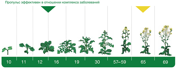 Эффективность