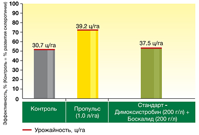 График
