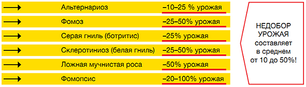 Болезни и последствия поражения