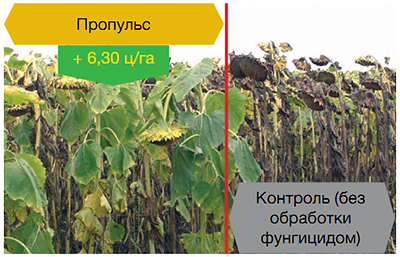 Результаты опытов
