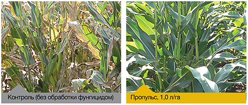 Результаты опытов