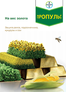 Пропульс