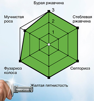 Спектр действия