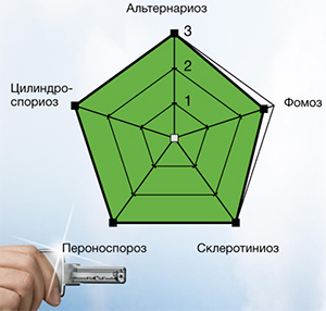 Спектр действия на яровом и озимом рапсе