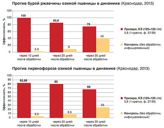 Таблицы