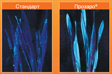 Фотографии при УФ-освещении