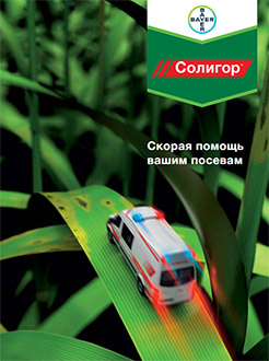 Солигор