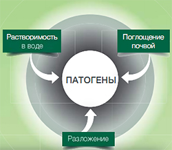 Патогены
