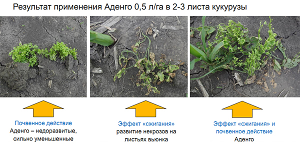 Результат применения