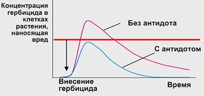 График