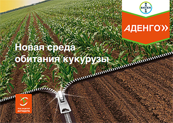 Аденго